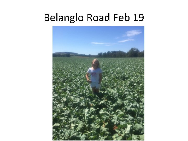 Belanglo Road Feb 19 