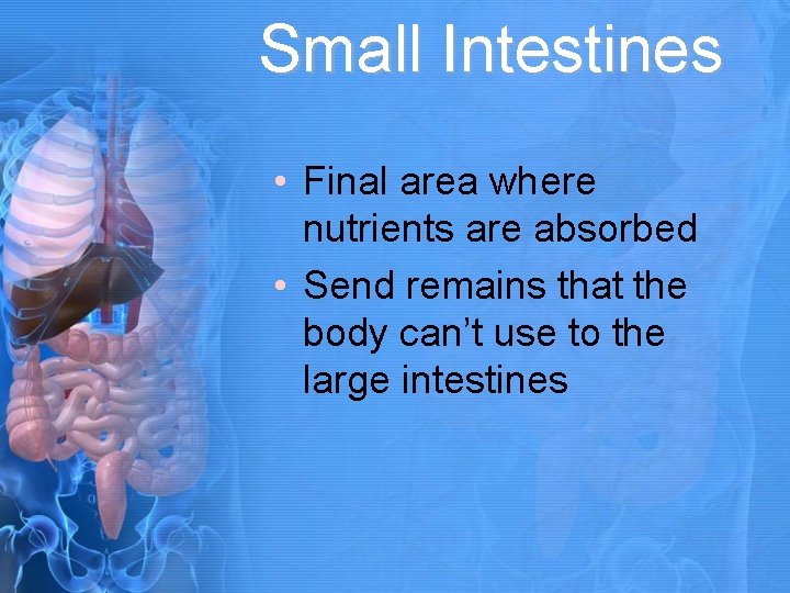 Small Intestines • Final area where nutrients are absorbed • Send remains that the
