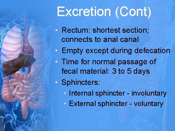Excretion (Cont) • Rectum: shortest section; connects to anal canal • Empty except during