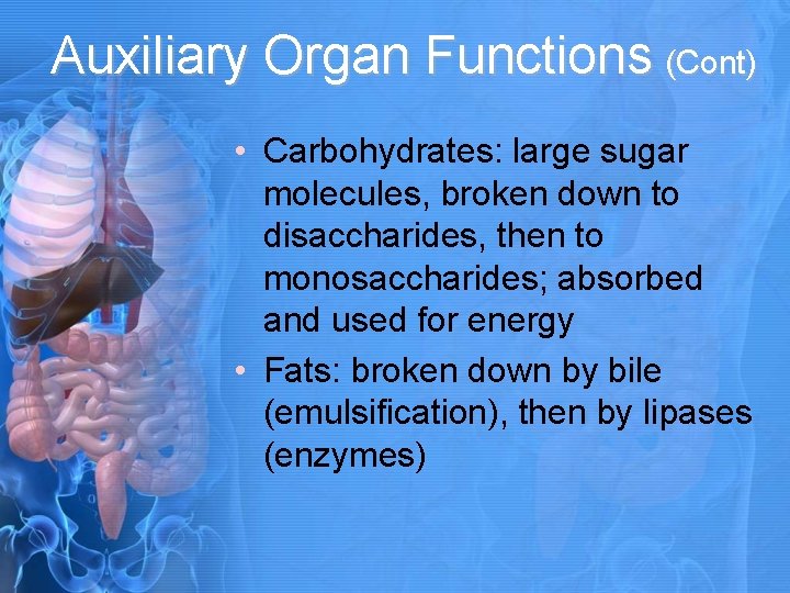 Auxiliary Organ Functions (Cont) • Carbohydrates: large sugar molecules, broken down to disaccharides, then