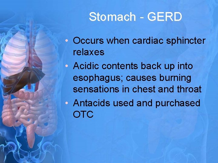 Stomach - GERD • Occurs when cardiac sphincter relaxes • Acidic contents back up