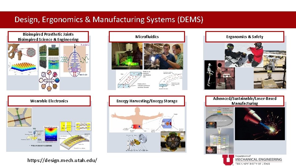 Design, Ergonomics & Manufacturing Systems(TFES) (DEMS) Thermal, Fluids and Energy Systems Bioinspired Prosthetic Joints