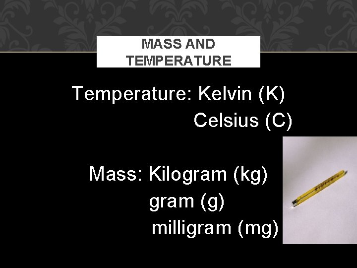 TOOLS MEASUREMENT AND SAFETY 8 th Grade Science