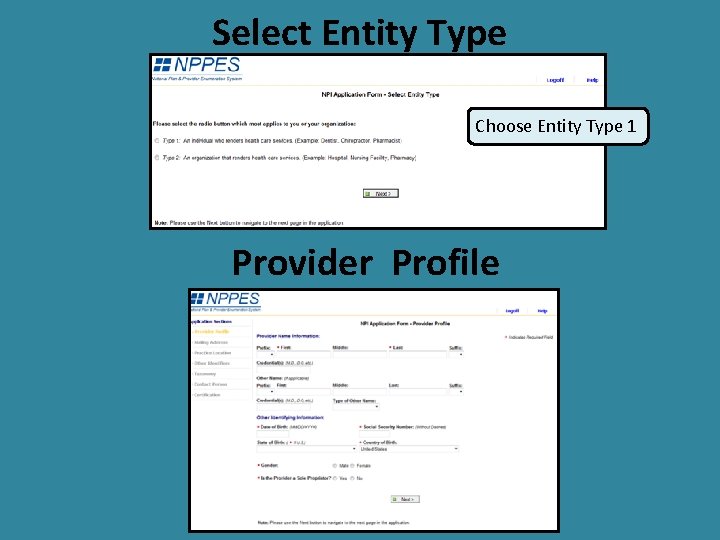 Select Entity Type Choose Entity Type 1 Provider Profile 
