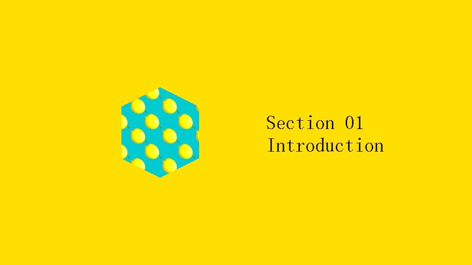 Section 01 Introduction 