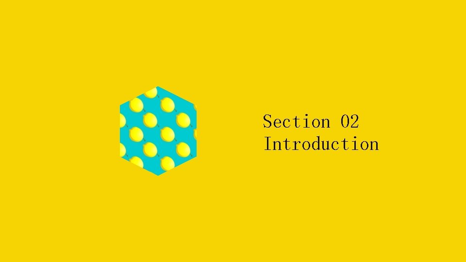 Section 02 Introduction 