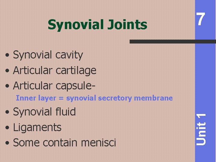 Synovial Joints 7 • Synovial cavity • Articular cartilage • Articular capsule • Synovial