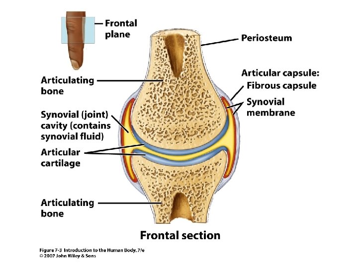 Figure 7. 3 