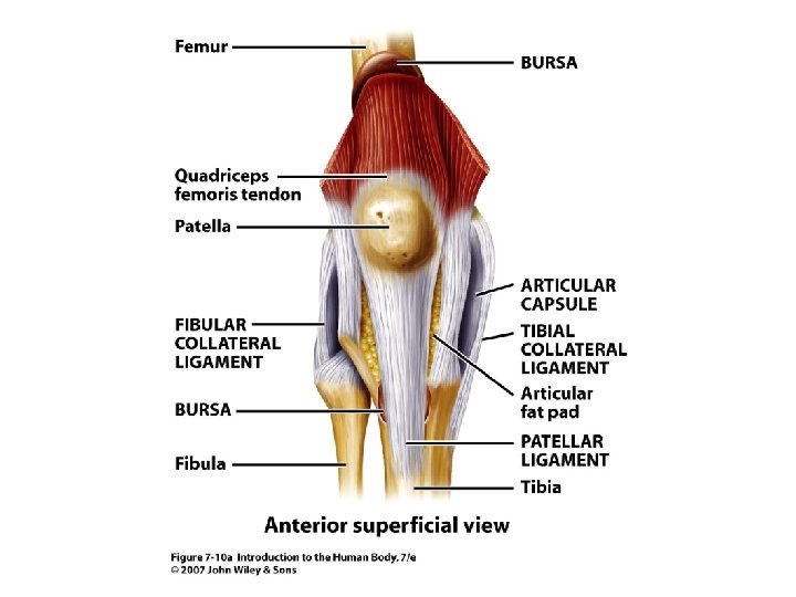 Figure 7. 10 a 