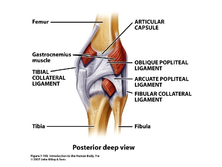 Figure 7. 10 b 