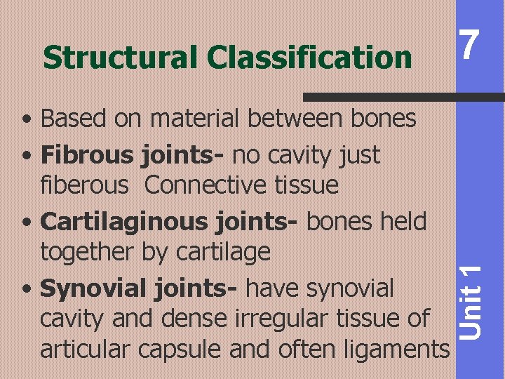 • Based on material between bones • Fibrous joints- no cavity just fiberous