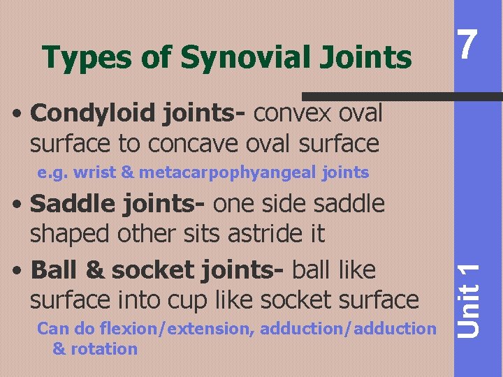 Types of Synovial Joints 7 • Condyloid joints- convex oval surface to concave oval