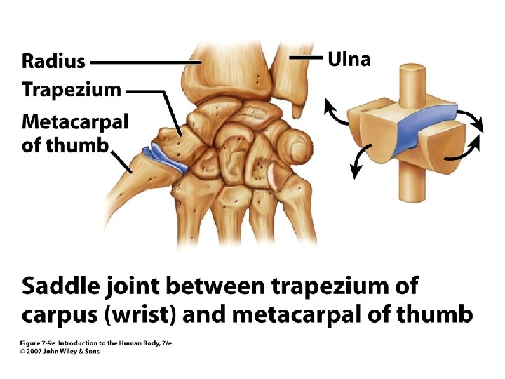 Figure 7. 9 e 