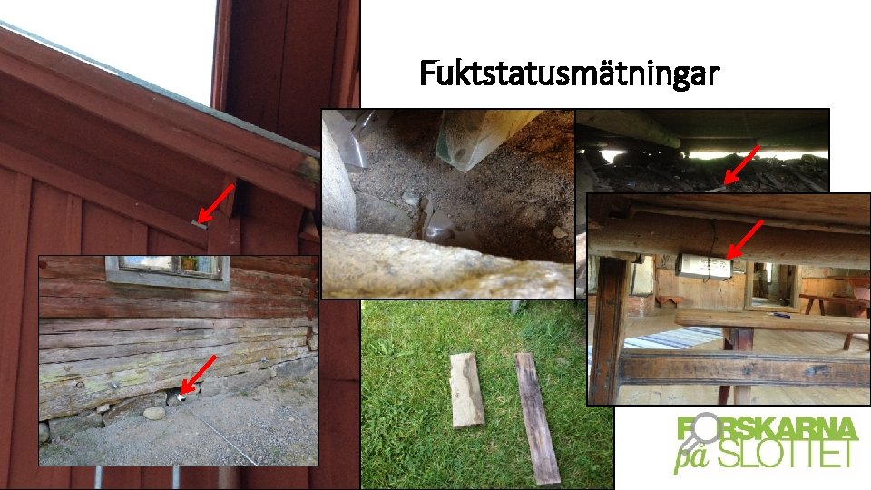 Fuktstatusmätningar 