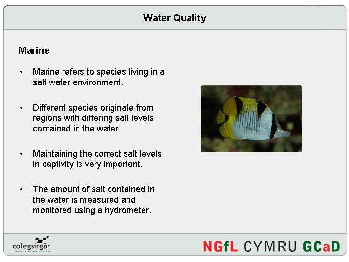 Water Quality Marine • Marine refers to species living in a salt water environment.