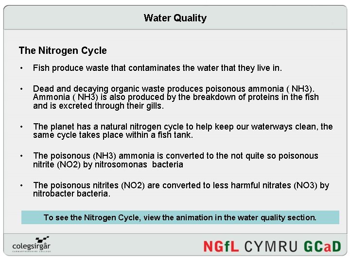 Water Quality The Nitrogen Cycle • Fish produce waste that contaminates the water that