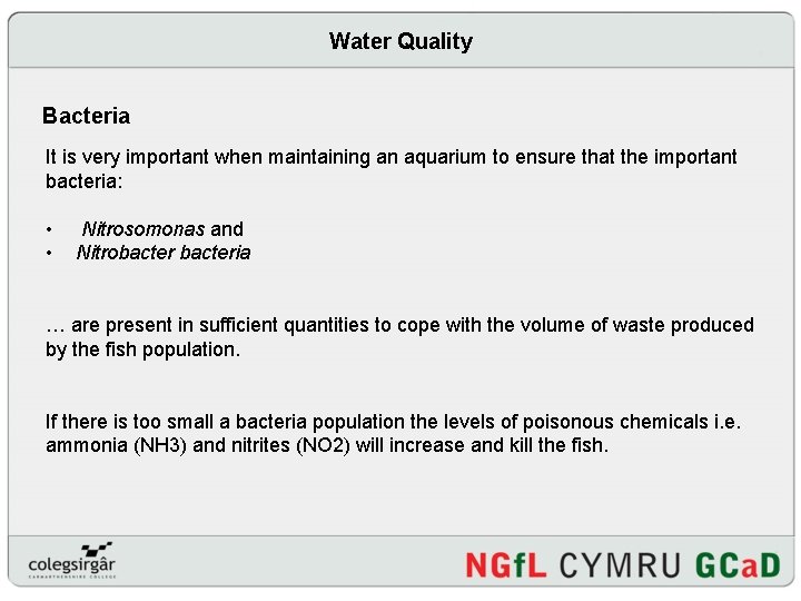 Water Quality Bacteria It is very important when maintaining an aquarium to ensure that