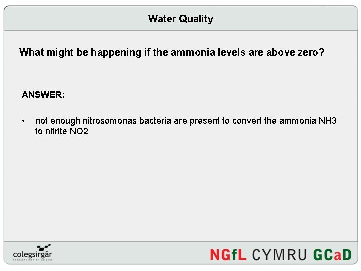 Water Quality What might be happening if the ammonia levels are above zero? ANSWER:
