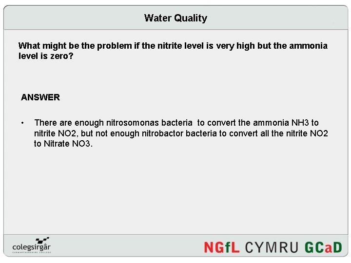Water Quality What might be the problem if the nitrite level is very high