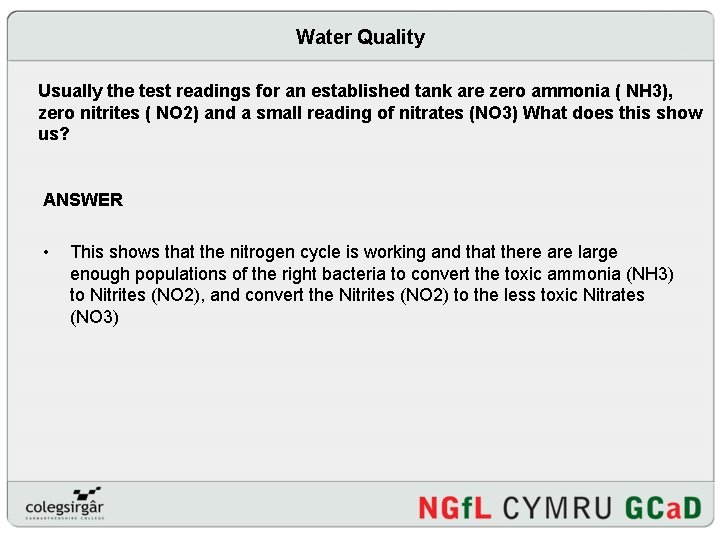 Water Quality Usually the test readings for an established tank are zero ammonia (