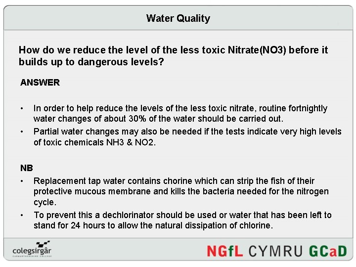 Water Quality How do we reduce the level of the less toxic Nitrate(NO 3)