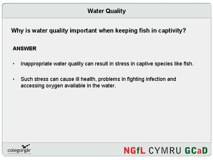 Water Quality Why is water quality important when keeping fish in captivity? ANSWER •