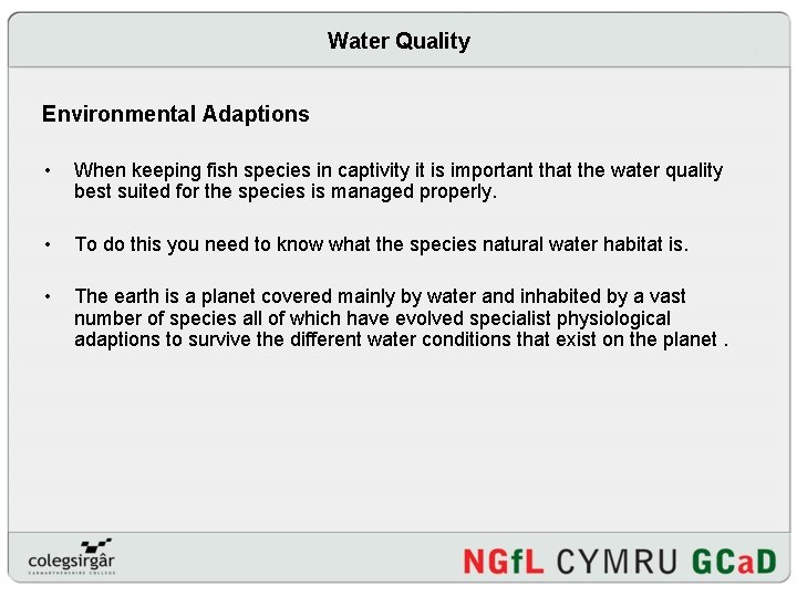 Water Quality Environmental Adaptions • When keeping fish species in captivity it is important