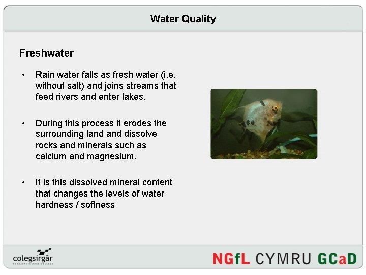 Water Quality Freshwater • Rain water falls as fresh water (i. e. without salt)