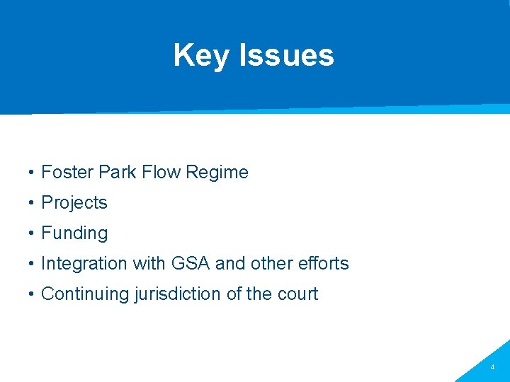 Key Issues • Foster Park Flow Regime • Projects • Funding • Integration with