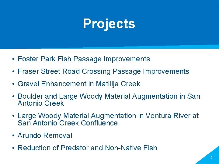 Projects • Foster Park Fish Passage Improvements • Fraser Street Road Crossing Passage Improvements