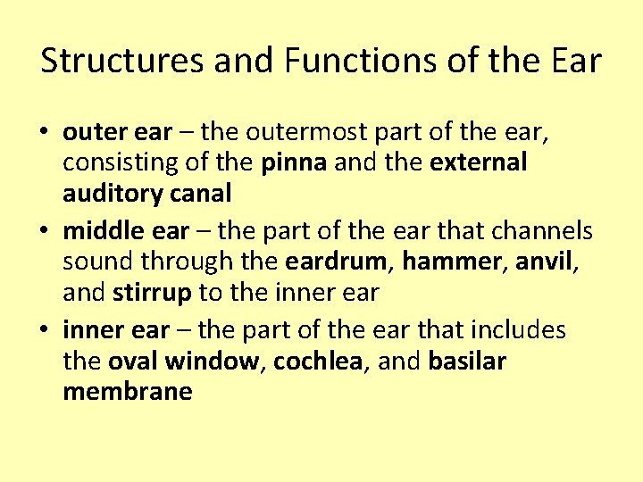 Structures and Functions of the Ear • outer ear – the outermost part of Structures and Functions of the Ear • outer ear – the outermost part of