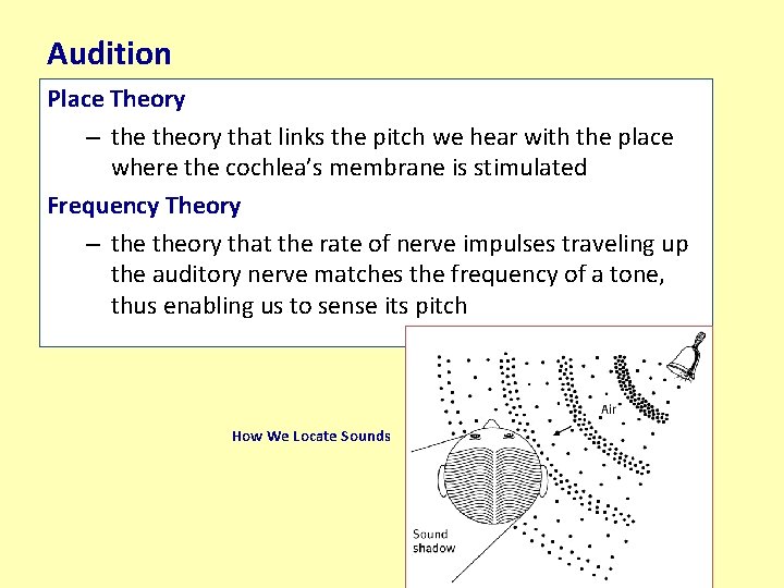 Audition Place Theory – theory that links the pitch we hear with the place Audition Place Theory – theory that links the pitch we hear with the place