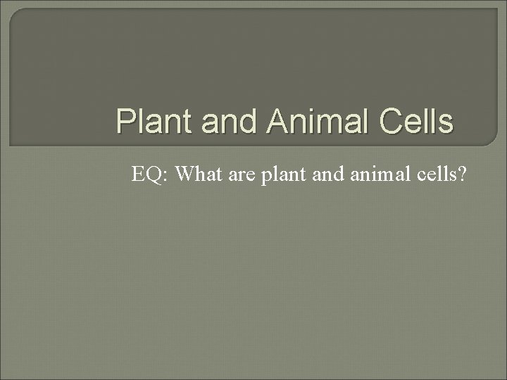 Plant and Animal Cells EQ: What are plant and animal cells? 