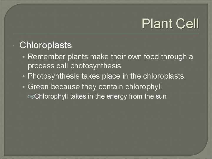 Plant Cell Chloroplasts • Remember plants make their own food through a process call