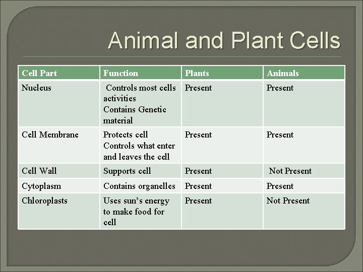 Animal and Plant Cells Cell Part Function Plants Animals Nucleus Controls most cells activities