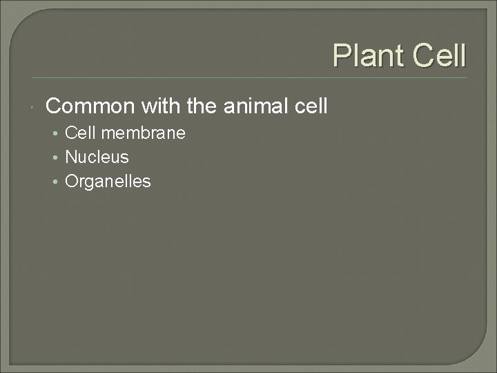 Plant Cell Common with the animal cell • Cell membrane • Nucleus • Organelles