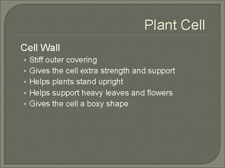Plant Cell Wall • • • Stiff outer covering Gives the cell extra strength