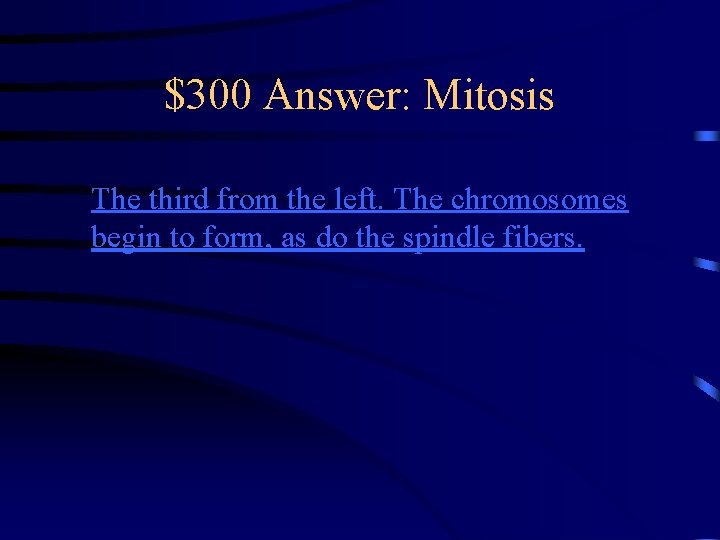 $300 Answer: Mitosis The third from the left. The chromosomes begin to form, as