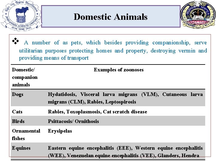 Domestic Animals v A number of as pets, which besides providing companionship, serve utilitarian Domestic Animals v A number of as pets, which besides providing companionship, serve utilitarian