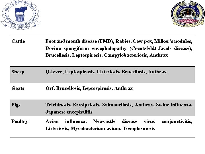Cattle Foot and mouth disease (FMD), Rabies, Cow pox, Milker’s nodules, Bovine spongiform encephalopathy Cattle Foot and mouth disease (FMD), Rabies, Cow pox, Milker’s nodules, Bovine spongiform encephalopathy