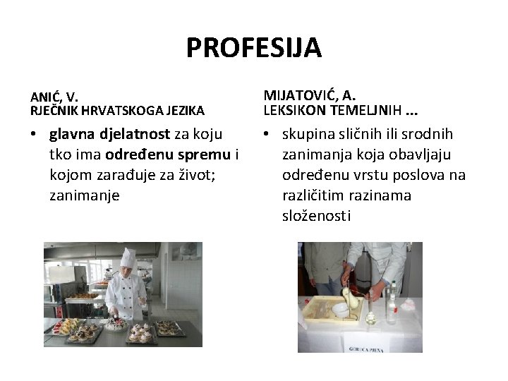 PROFESIJA ANIĆ, V. RJEČNIK HRVATSKOGA JEZIKA MIJATOVIĆ, A. LEKSIKON TEMELJNIH. . . • glavna