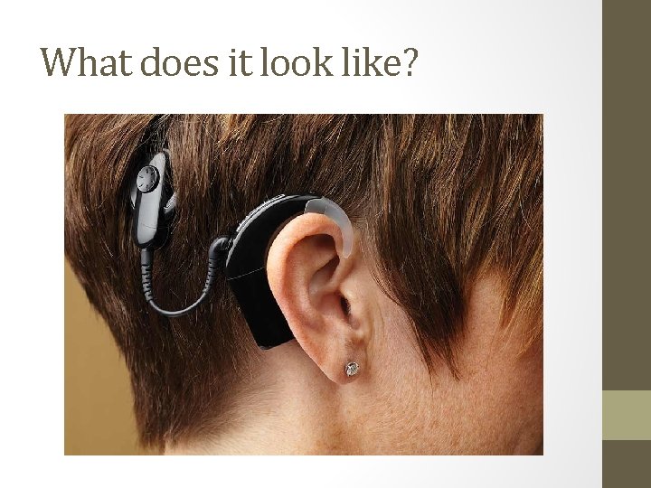 What does it look like? What does it look like?