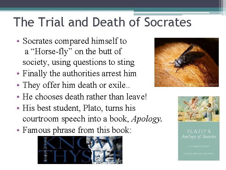 The Trial and Death of Socrates • Socrates compared himself to a “Horse-fly” on