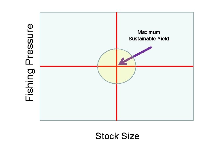 Fishing Pressure Maximum Sustainable Yield Stock Size 