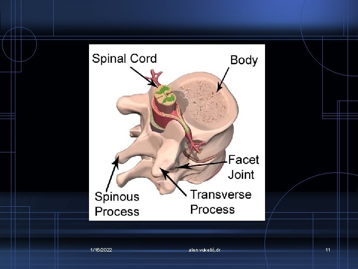 1/16/2022 alen vukelić, dr 11 