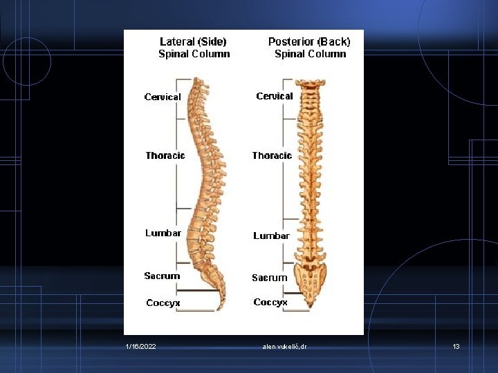 1/16/2022 alen vukelić, dr 13 