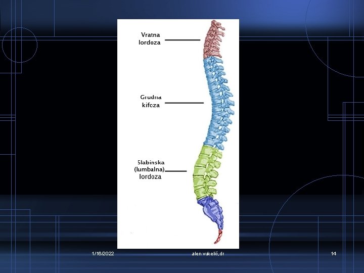 1/16/2022 alen vukelić, dr 14 