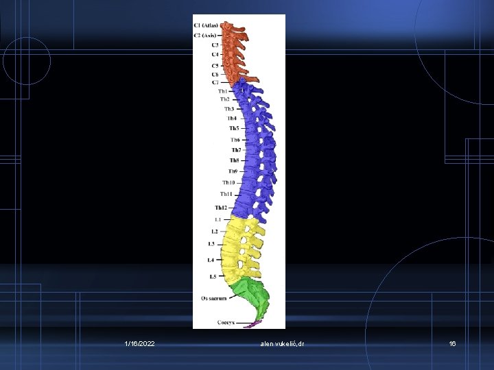 1/16/2022 alen vukelić, dr 16 