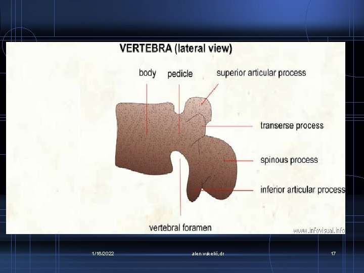 1/16/2022 alen vukelić, dr 17 