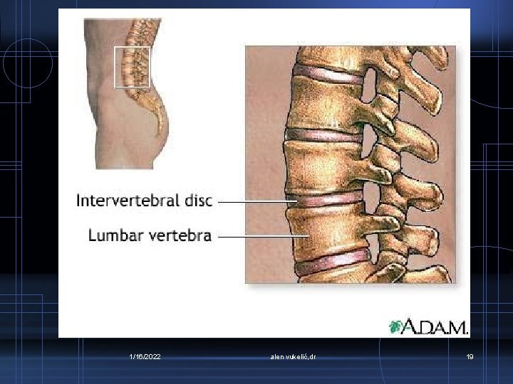 1/16/2022 alen vukelić, dr 19 
